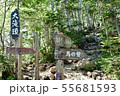 仙丈ケ岳の登山道～馬の背への分岐地点 55681593