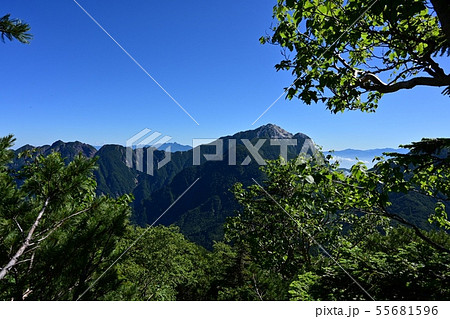 仙丈ケ岳登山道~樹林帯から望む甲斐駒ヶ岳と鋸岳 仙丈ケ岳登山道~樹林帯から望む甲斐駒ヶ岳と鋸岳 55681596