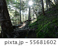 仙丈ケ岳へ向かう朝の登山道 55681602