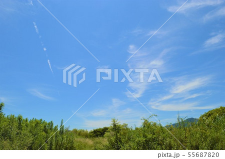 空 四万十中村 空 四万十中村 55687820