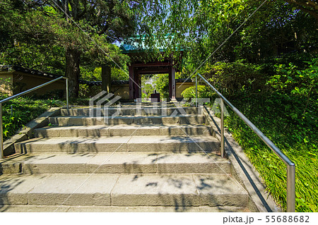 鎌倉　光則寺　山門 55688682