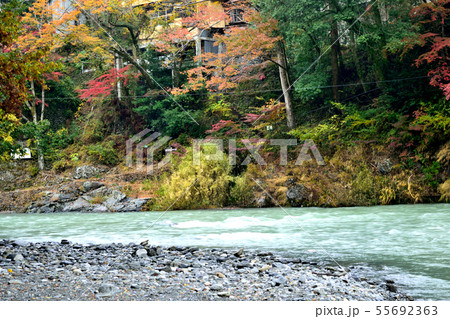 御岳渓谷紅葉と多摩川川原 55692363