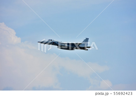 小松基地　Ｆ－１５　イーグル 55692423