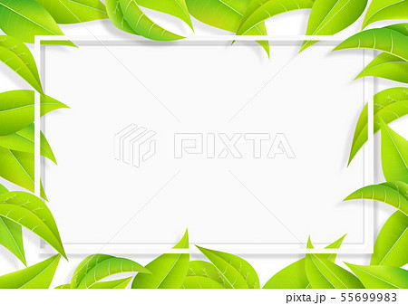 グリーン 葉っぱ リーフ フレーム 新緑 Png 透過のイラスト素材