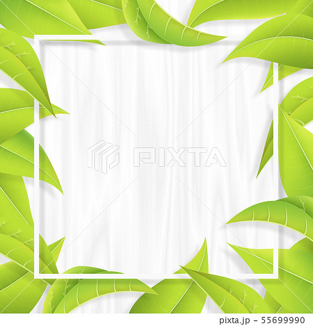 グリーン 葉っぱ リーフ フレーム 新緑 白木のイラスト素材
