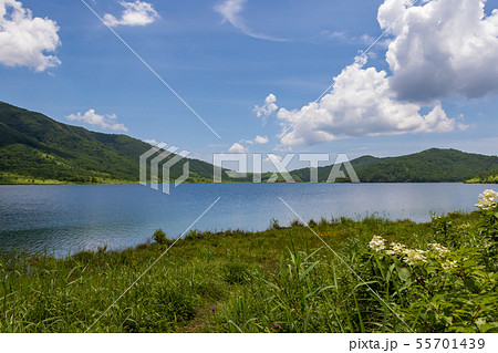 盛夏の野反湖 盛夏の野反湖 55701439