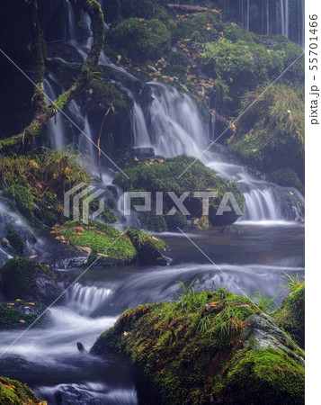 元滝伏流水（秋田県） 55701466