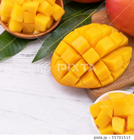 マンゴー マンゴ フルーツ 55701515