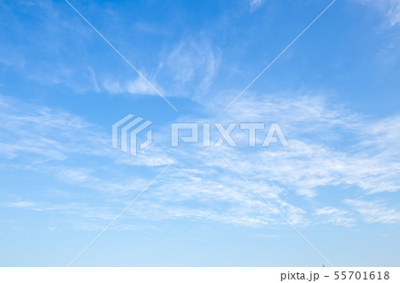 大空 55701618