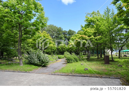 風の強い日の鶴沼公園・浦臼町 風の強い日の鶴沼公園・浦臼町 55701820