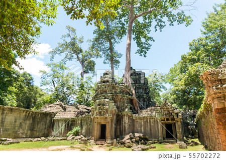 Prasat Ta Prohm Temple, siam reap, cambodia 55702272