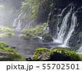 元滝伏流水（秋田県） 55702501