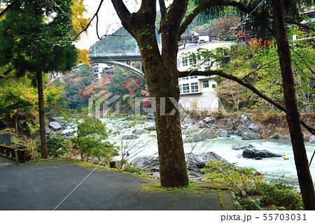 秋の奥多摩 御岳渓谷遊歩道 秋の奥多摩 御岳渓谷遊歩道 55703031