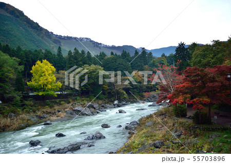 御岳渓谷紅葉と多摩川川原 御岳渓谷紅葉と多摩川川原 55703896