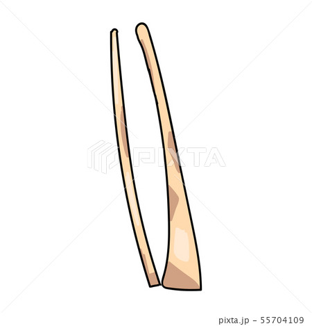 Hand drawn realistic human bones. Vector illustration 55704109