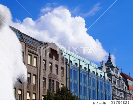 旅人の目線 旅人の目線 55704821