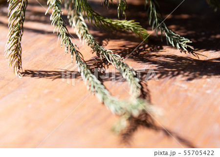 台湾 背景 バックグラウンド 55705422