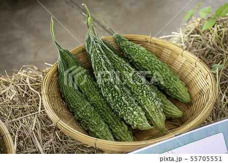 Bitter gourd fresh from garden in bamboo baskets. 55705551