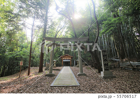 静火神社　和歌山 55706517