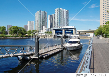 天王洲アイルの桟橋に停泊中のクルーザー（東京都品川区） 55706594