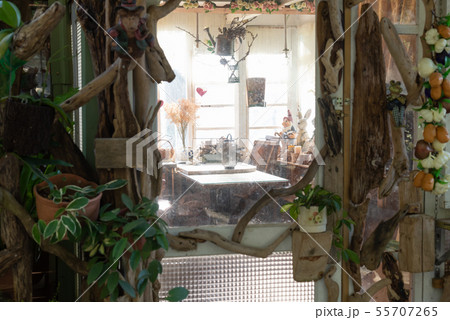 背景 バックグラウンド バックグランド 55707265