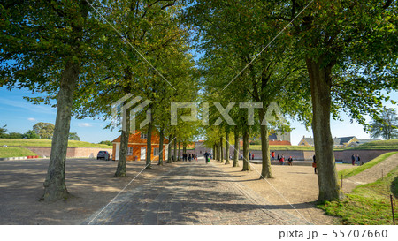 デンマーク クロンボー城へのお洒落な道 55707660