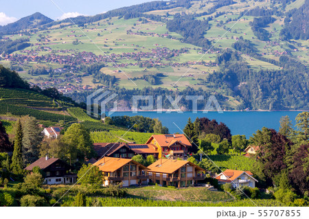 The traditional alpine village Spiez near Lake Thun. The traditional alpine village Spiez near Lake Thun. 55707855