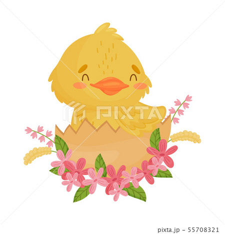 Cute Yellow Duckling Sitting In The Shell のイラスト素材