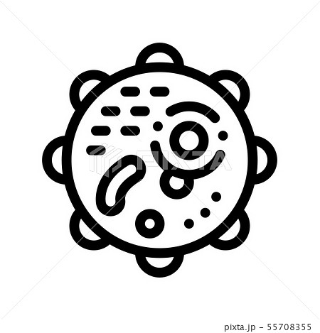 Microscopic Round Bacterium Vector Thin Line Icon Microscopic Round Bacterium Vector Thin Line Icon 55708355