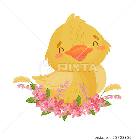Cute yellow duckling sits in flowers. Vector illustration on white background. Cute yellow duckling sits in flowers. Vector illustration on white background. 55708356