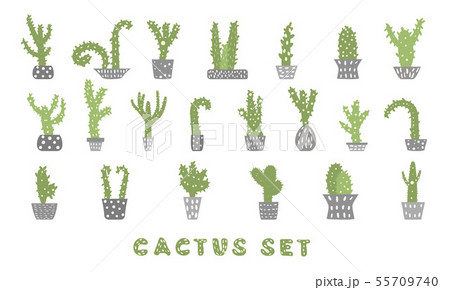 Vector Cactus comositon design set. Vector Cactus comositon design set. 55709740