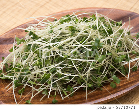 ブロッコリースプラウト 55710771