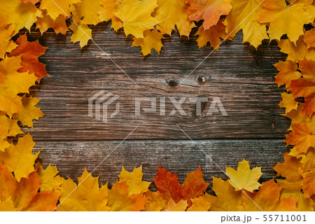 autumn frame of orange yellow maple leaves on old wooden background 55711001