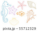 海の生き物 イラスト カラー 55712329