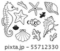 海の生き物 イラスト 線画 55712330
