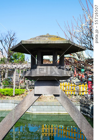 亀戸天神社 琴柱灯籠 ことじどうろう （東京都江東区） 2019年2月 55716507