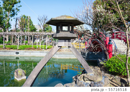 亀戸天神社 琴柱灯籠 ことじどうろう (東京都江東区) 2019年2月 亀戸天神社 琴柱灯籠 ことじどうろう (東京都江東区) 2019年2月 55716518