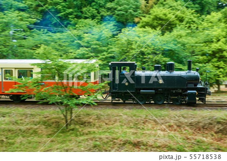 千葉県　小湊鉄道　トロッコ列車　流し撮り 55718538
