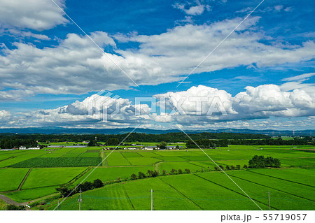 田園風景と入道雲、真夏の田園風景、7月の入道雲、7月の快晴、入道雲、なつ空、ドローン撮影、 55719057