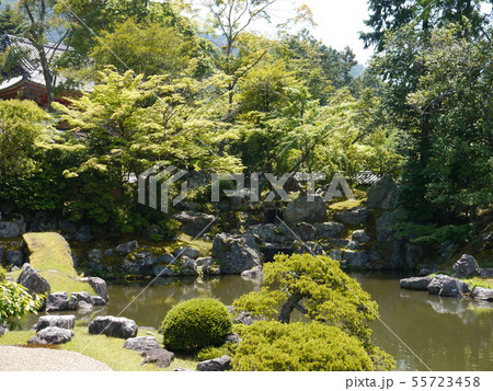 世界文化遺産 醍醐寺 三宝院庭園 特別名勝 特別史跡 世界文化遺産 醍醐寺 三宝院庭園 特別名勝 特別史跡 55723458