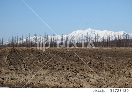 芦別岳_布礼別 芦別岳_布礼別 55723480