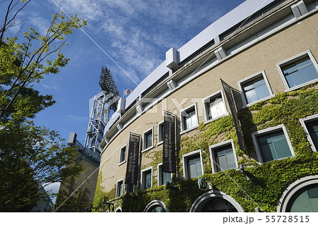 野球の聖地：甲子園球場 55728515