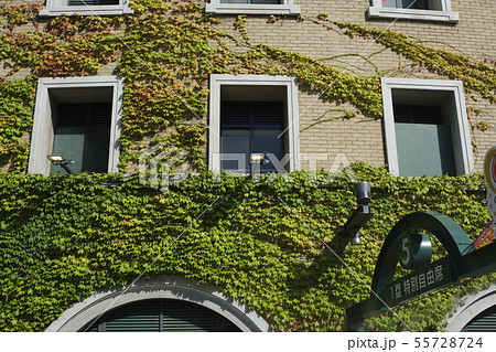 野球の聖地:甲子園球場 野球の聖地:甲子園球場 55728724