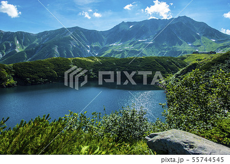立山連峰とミクリガ池 立山連峰とミクリガ池 55744545