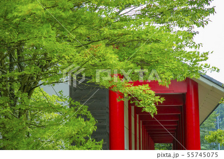 黄金山産金遺跡　天平ろまん館　 55745075