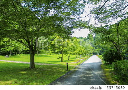 黄金山産金遺跡 天平ろまん館  黄金山産金遺跡 天平ろまん館  55745080