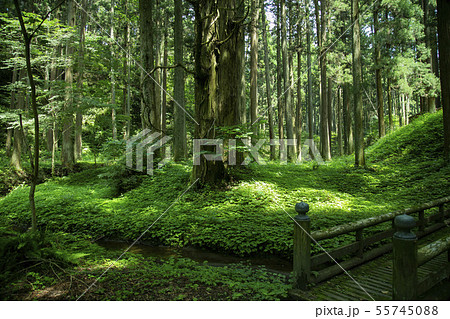 黄金山産金遺跡　天平ろまん館　 55745088