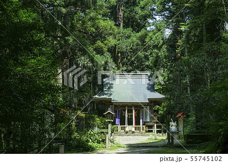 黄金山産金遺跡　天平ろまん館　 55745102