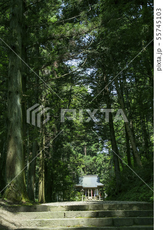 黄金山産金遺跡　天平ろまん館　 55745103