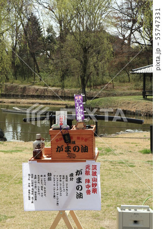 がまの油売りの道具 55747331